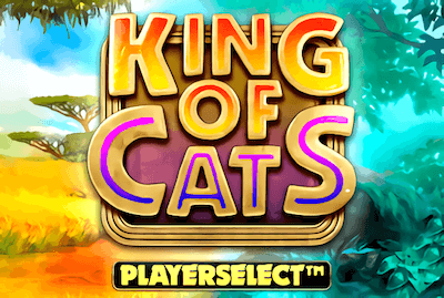 King of Cats